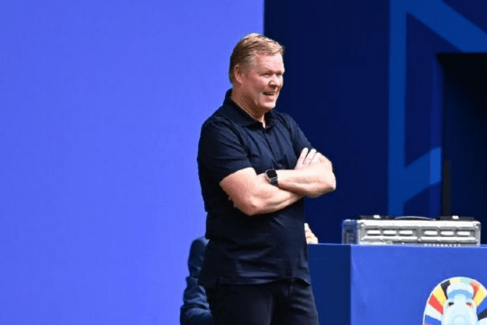 太阳迎战森,林狼,九游会真人,九游会真人官网,九游会真人,九游会互动,九游会娱乐,九游会体验