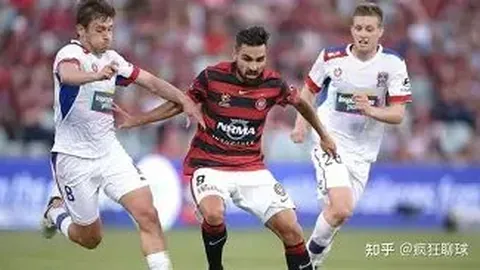 曼奇尼可能將辭去意大利國家隊主教練一職